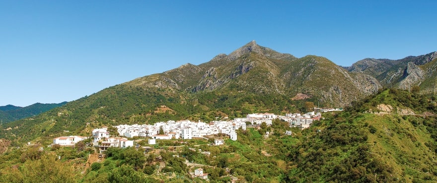Elegant 3-Bedroom Townhouse with Panoramic Coast Views in Istán - Photo 9